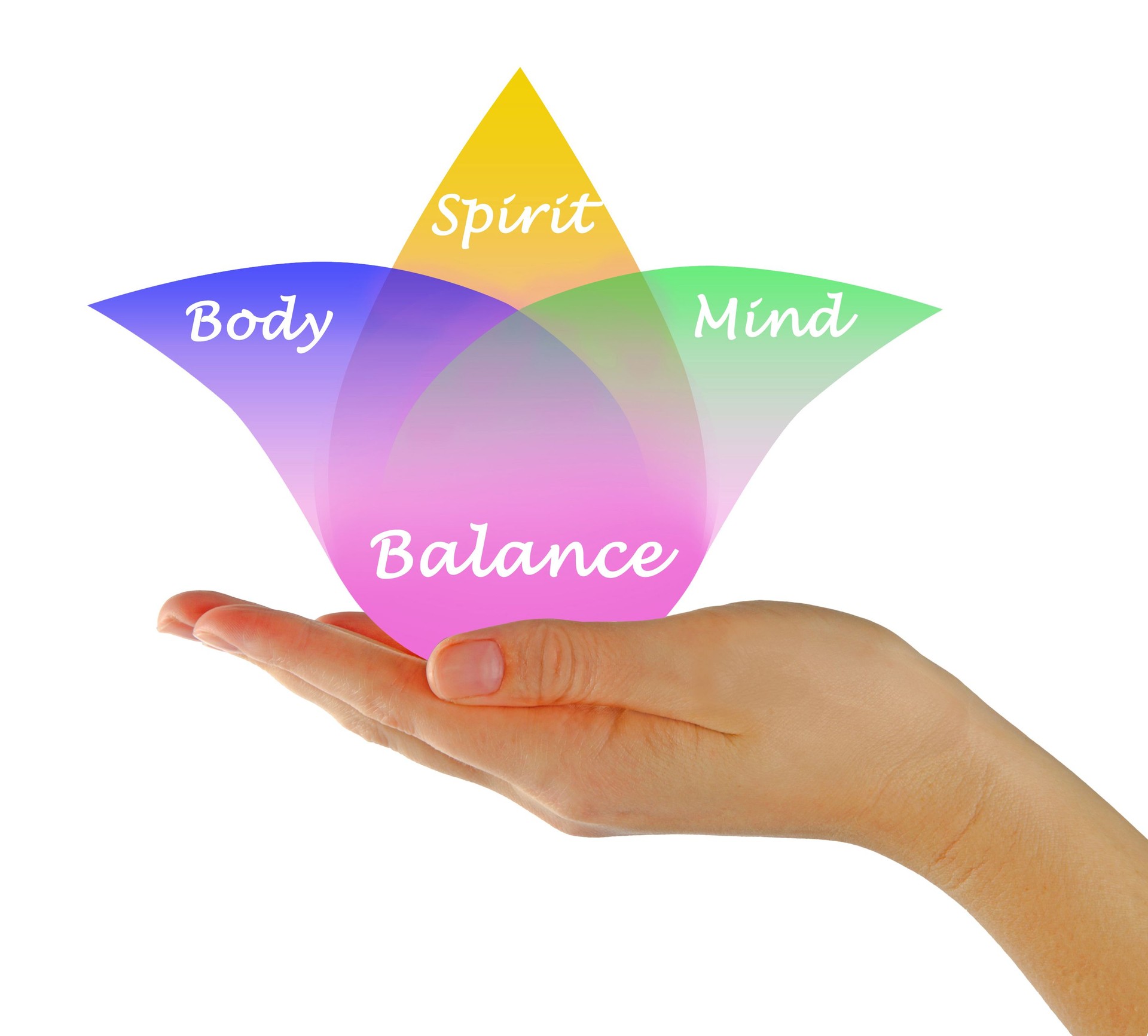 Holistic Medicine